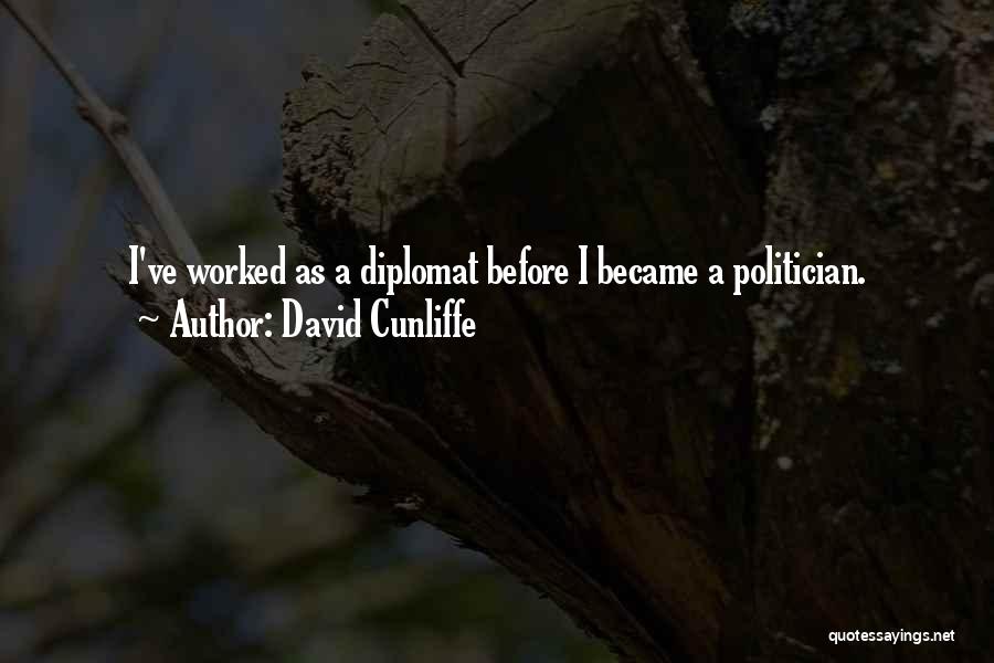 Diplomat Quotes By David Cunliffe