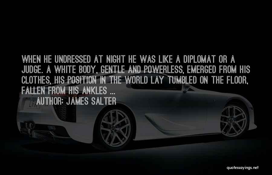 Diplomat Quotes By James Salter
