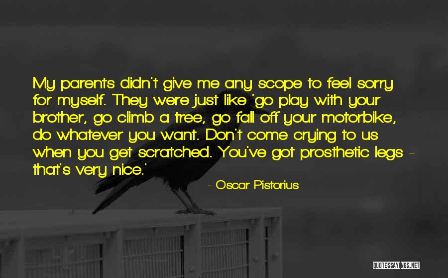 Dippel Fuel Quotes By Oscar Pistorius Dippel Fuel Quotes By Oscar Pistorius
