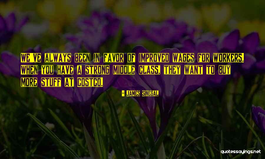 Dippel Ubersetzung Quotes By James Sinegal Dippel Ubersetzung Quotes By James Sinegal
