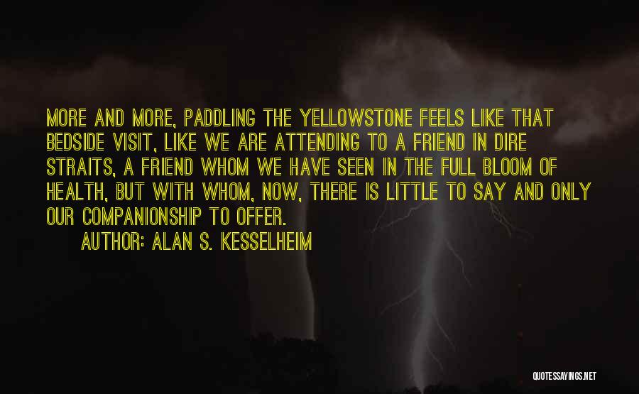 Dire Straits Best Quotes By Alan S. Kesselheim