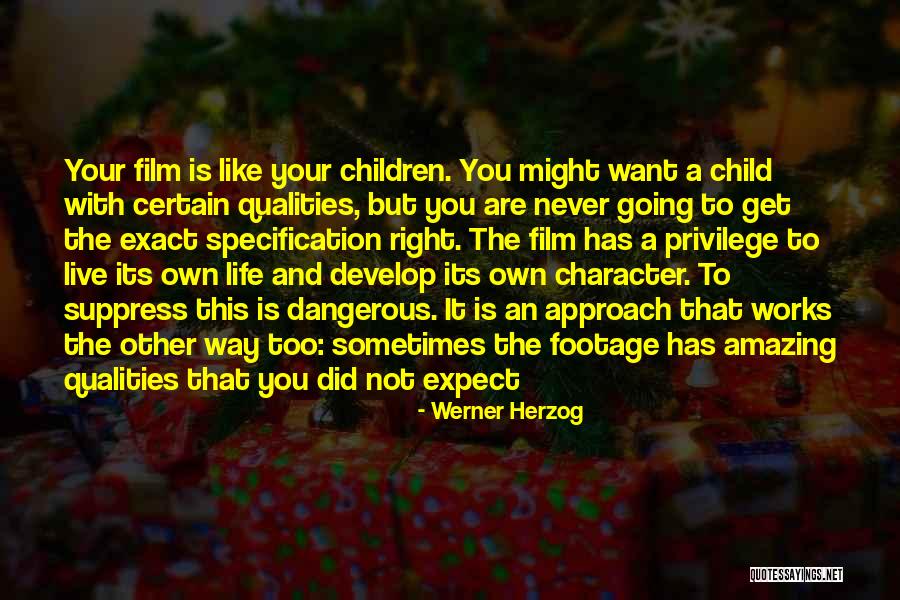 Directing Life Quotes By Werner Herzog Directing Life Quotes By Werner Herzog