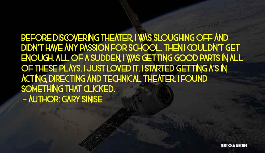 Directing Plays Quotes By Gary Sinise