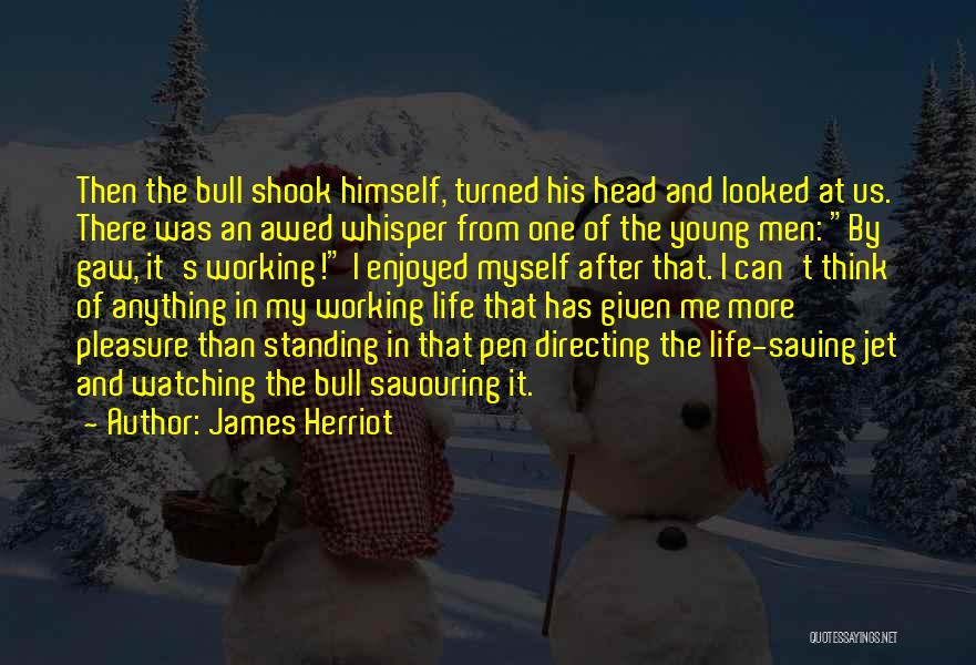 Directing Quotes By James Herriot