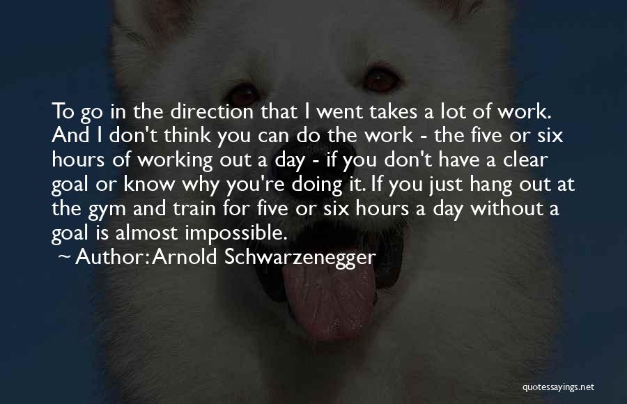 Direction And Goals Quotes By Arnold Schwarzenegger