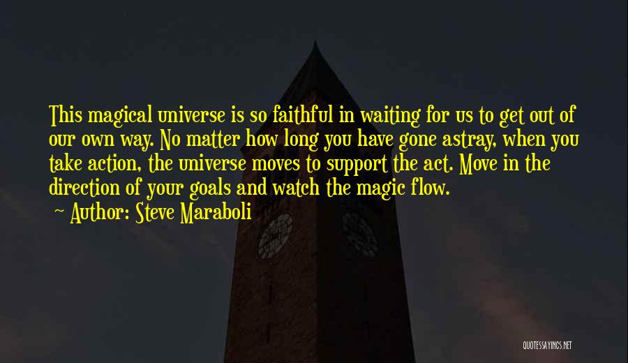 Direction And Goals Quotes By Steve Maraboli