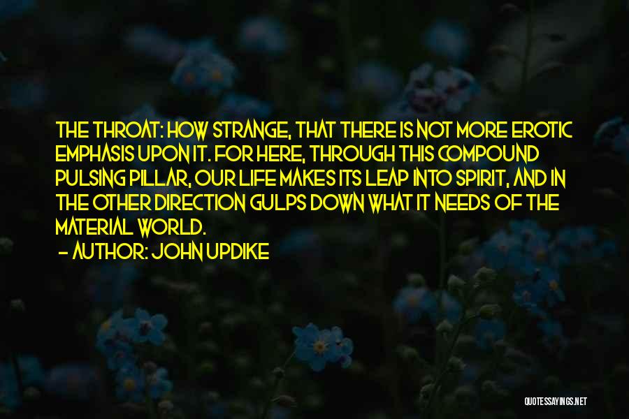 Direction Of Life Quotes By John Updike