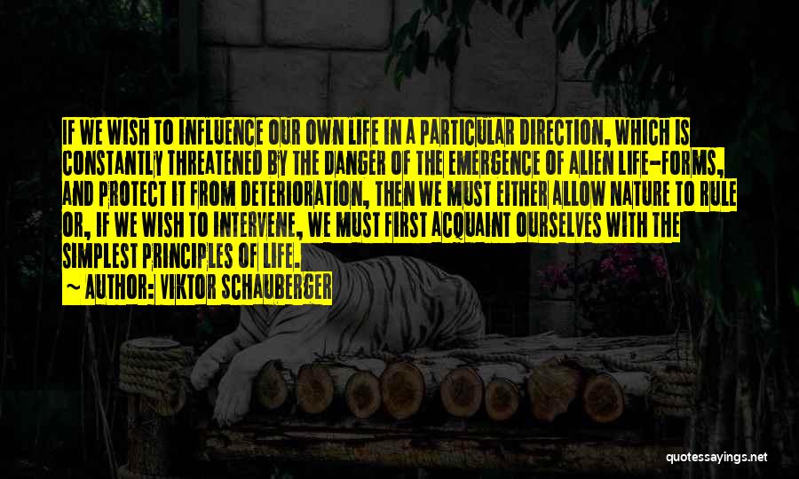 Direction Of Life Quotes By Viktor Schauberger