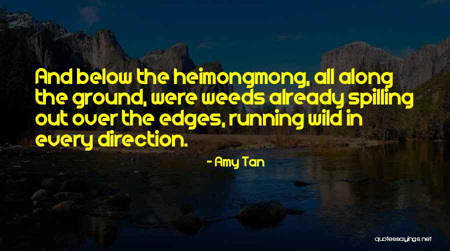 Direction Quotes By Amy Tan