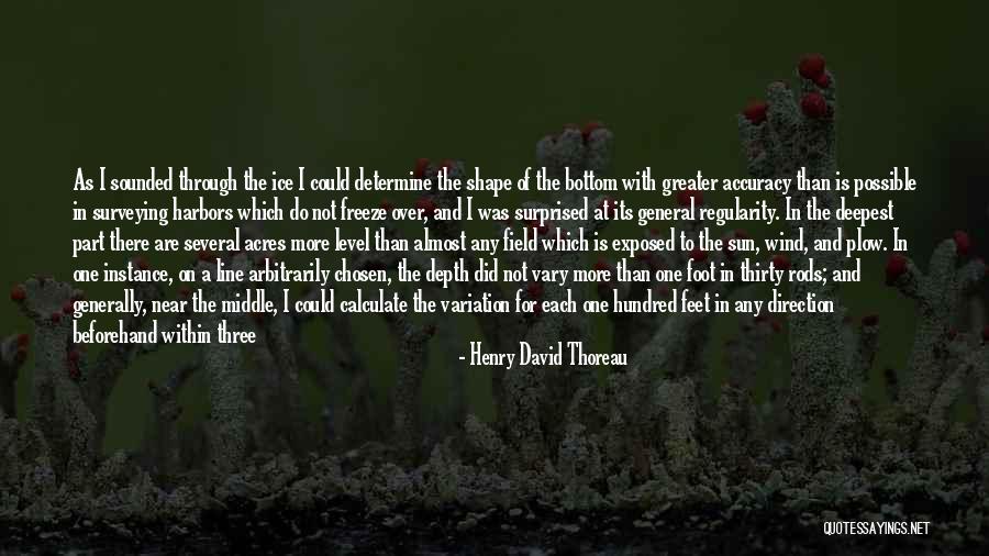 Direction Quotes By Henry David Thoreau