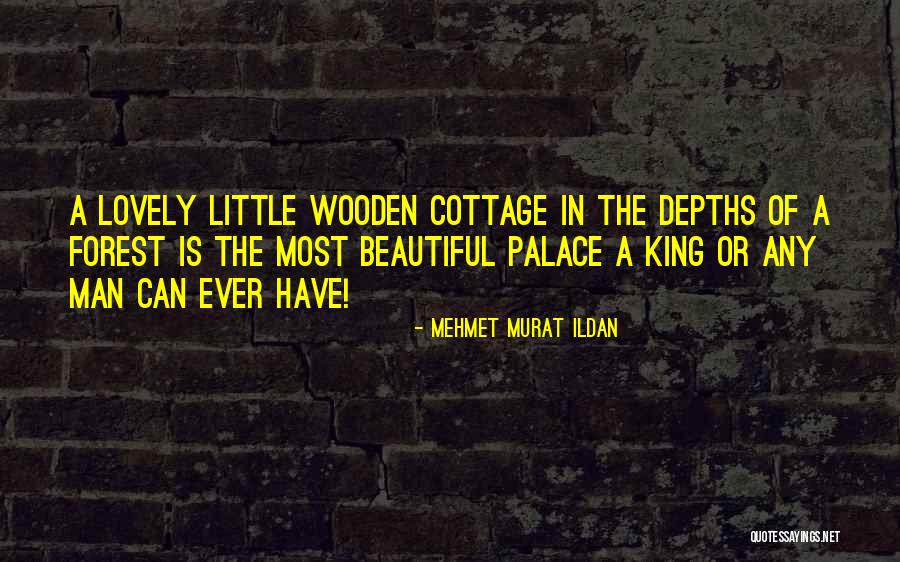 Directionality Quotes By Mehmet Murat Ildan Directionality Quotes By Mehmet Murat Ildan
