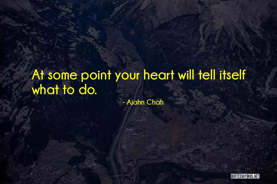 Directioner Girl Quotes By Ajahn Chah Directioner Girl Quotes By Ajahn Chah