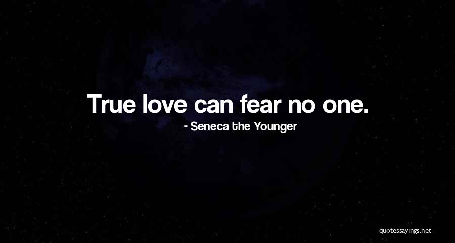 Directive Drawing Quotes By Seneca The Younger Directive Drawing Quotes By Seneca The Younger