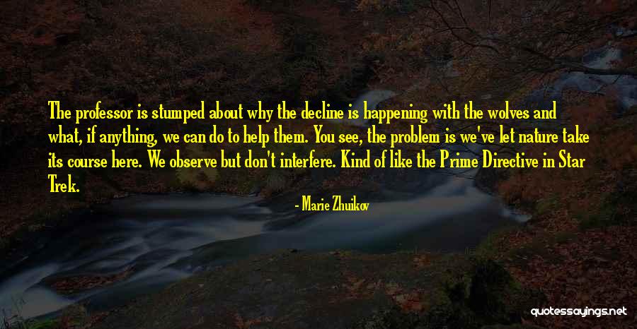 Directive Quotes By Marie Zhuikov Directive Quotes By Marie Zhuikov