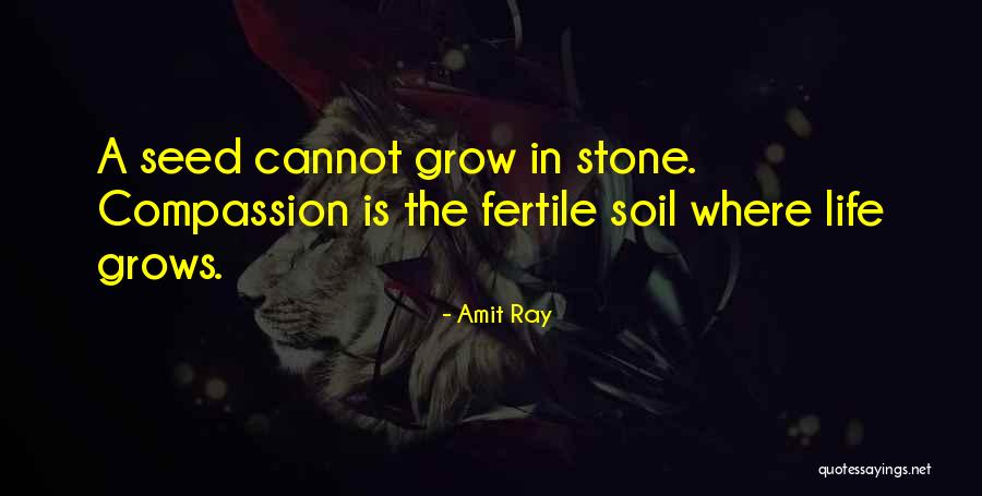 Directivos Diario Quotes By Amit Ray Directivos Diario Quotes By Amit Ray