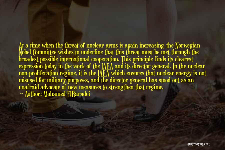 Director Quotes By Mohamed ElBaradei