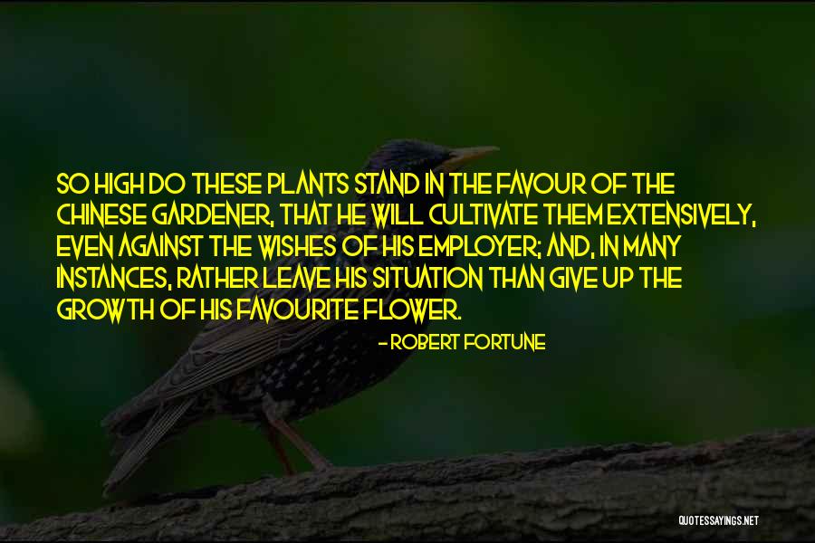 Directory Enquiries Quotes By Robert Fortune Directory Enquiries Quotes By Robert Fortune