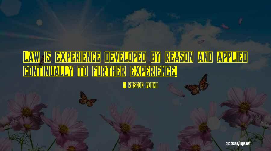 Diridonda Quotes By Roscoe Pound Diridonda Quotes By Roscoe Pound