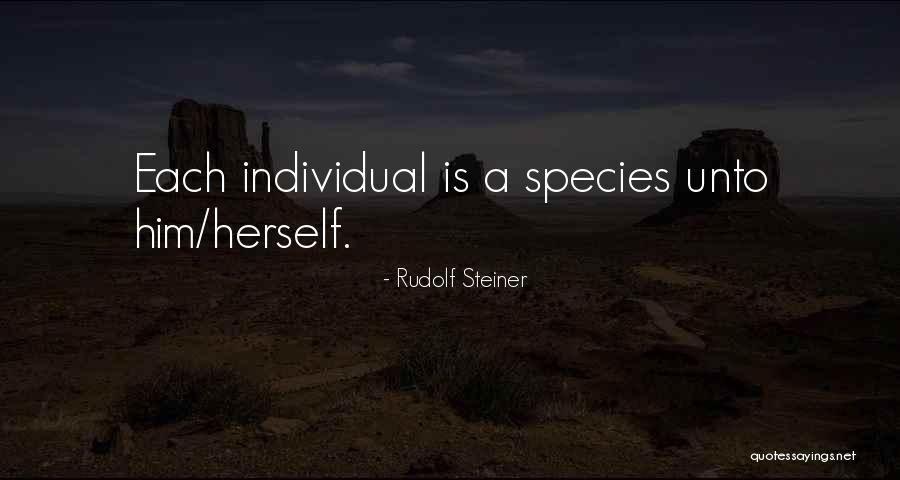 Diriger In English Quotes By Rudolf Steiner Diriger In English Quotes By Rudolf Steiner