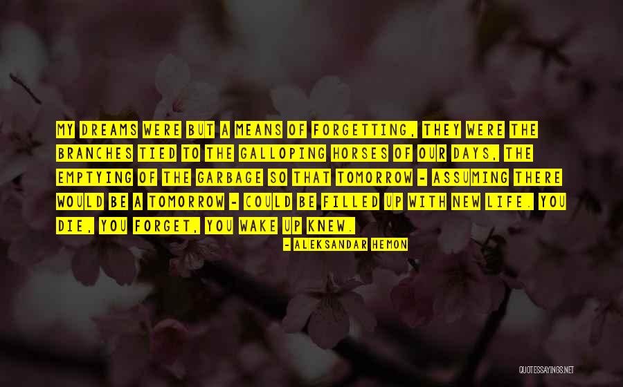 Dirigida Sinonimo Quotes By Aleksandar Hemon Dirigida Sinonimo Quotes By Aleksandar Hemon
