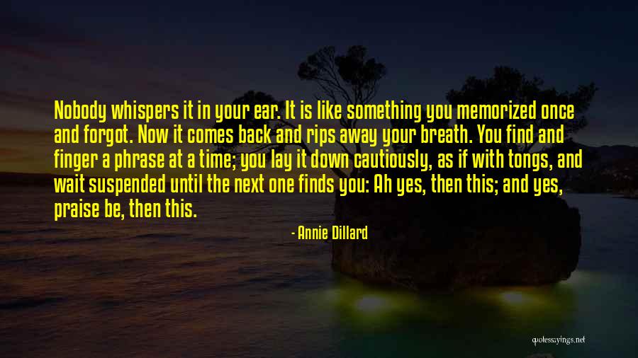 Dirigida Sinonimo Quotes By Annie Dillard Dirigida Sinonimo Quotes By Annie Dillard