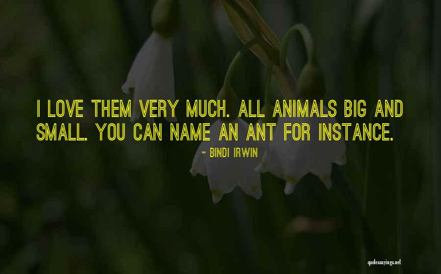 Dirijo Sinonimo Quotes By Bindi Irwin Dirijo Sinonimo Quotes By Bindi Irwin
