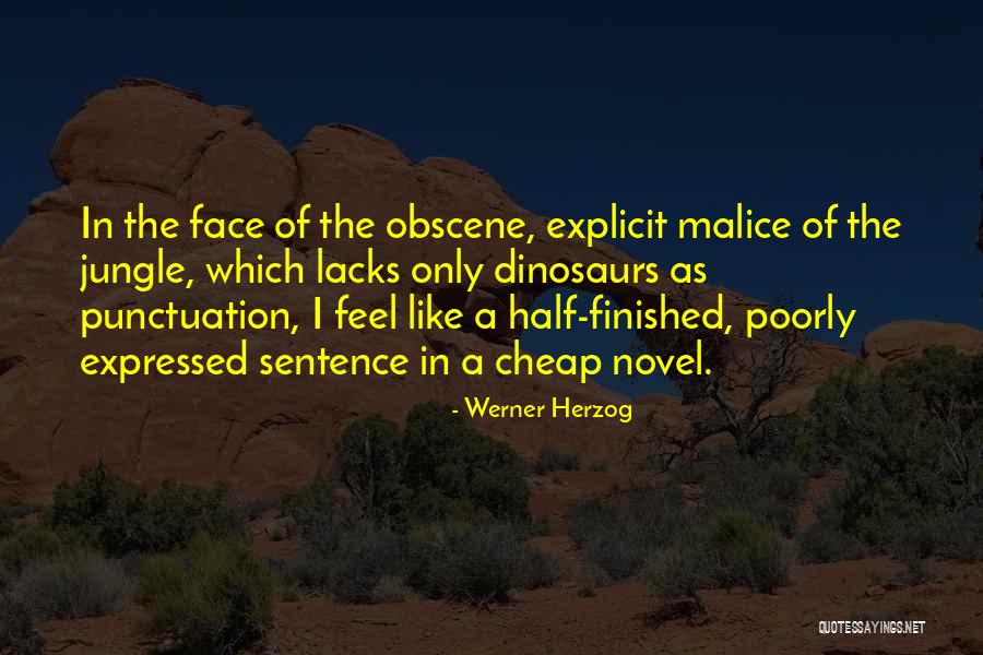 Dirsearch Quotes By Werner Herzog Dirsearch Quotes By Werner Herzog