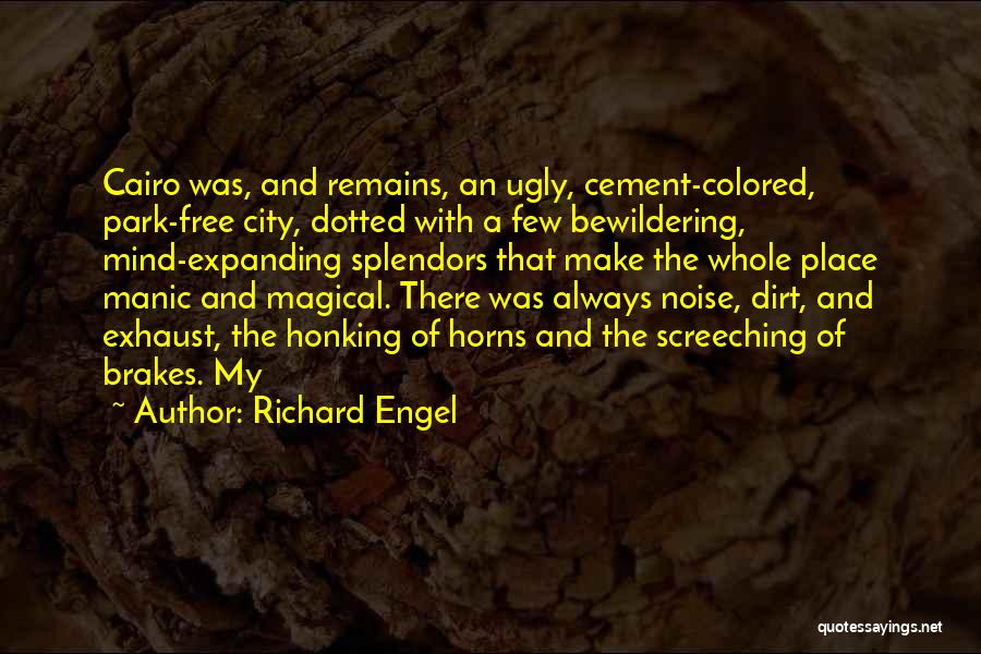 Dirt Quotes By Richard Engel