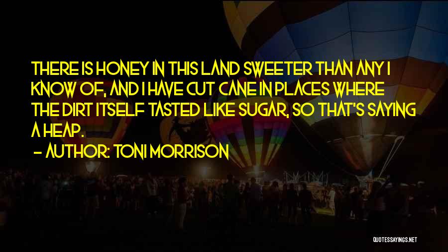 Dirt Quotes By Toni Morrison