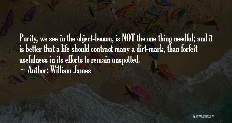 Dirt Quotes By William James