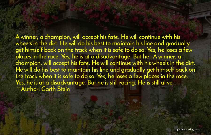 Dirt Racing Quotes By Garth Stein