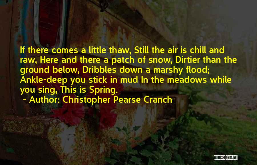 Dirtier Than Quotes By Christopher Pearse Cranch