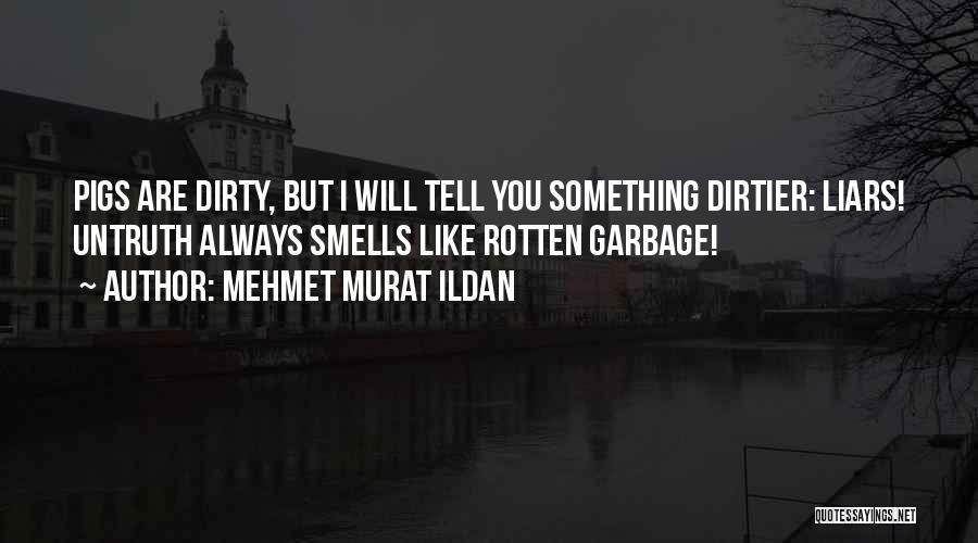 Dirtier Than Quotes By Mehmet Murat Ildan