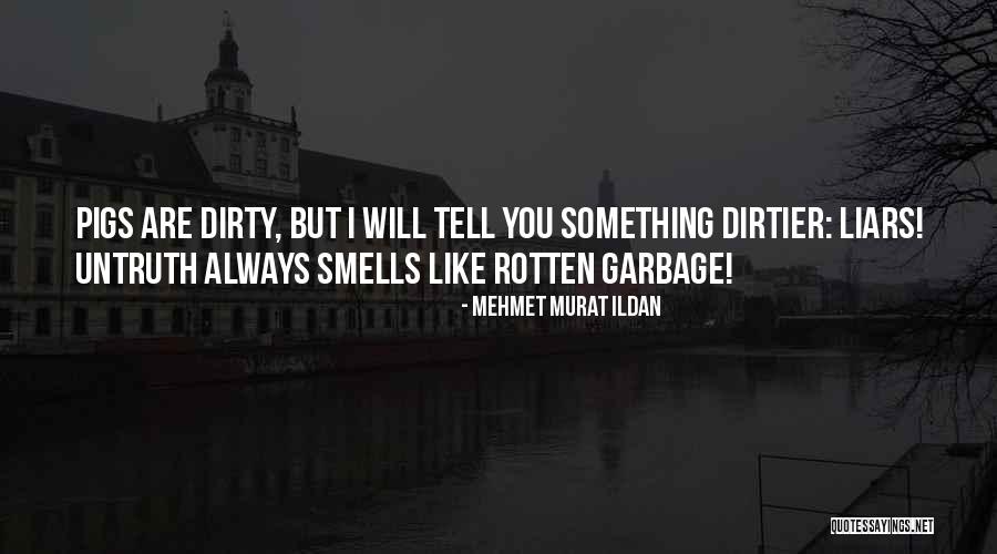 Dirtier Than Quotes By Mehmet Murat Ildan