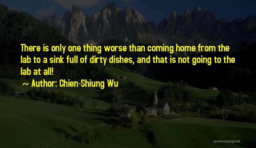 Dirty Dishes Quotes By Chien-Shiung Wu