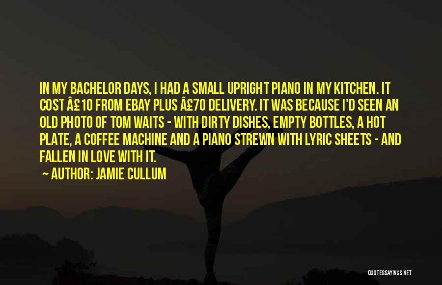 Dirty Dishes Quotes By Jamie Cullum