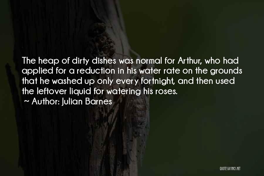 Dirty Dishes Quotes By Julian Barnes