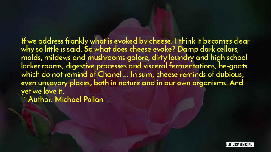 Dirty Laundry Quotes By Michael Pollan