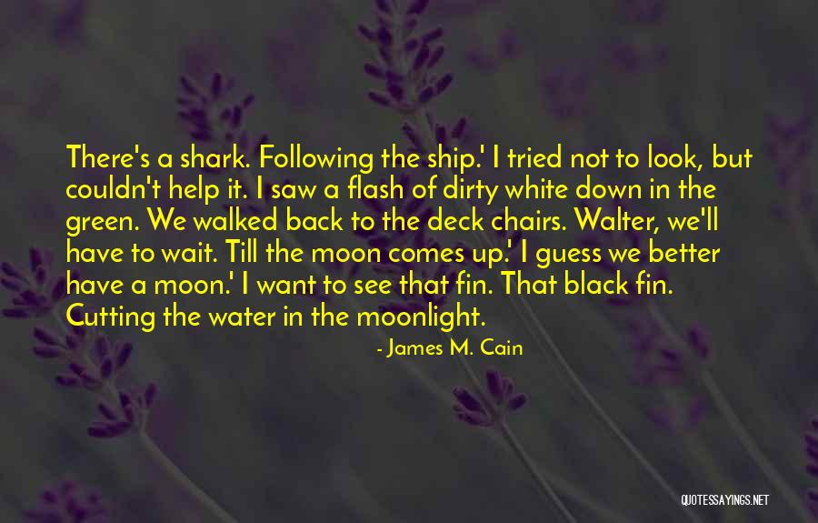 Dirty Look Quotes By James M. Cain Dirty Look Quotes By James M. Cain