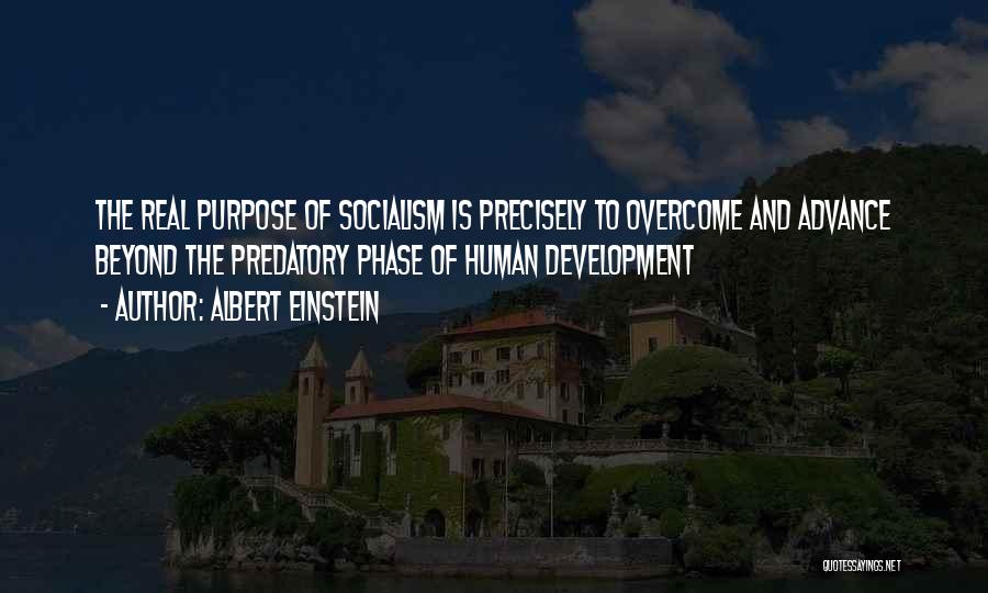 Dirty Politics Quotes By Albert Einstein