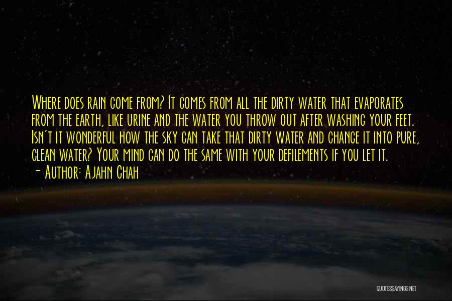 Dirty Water Quotes By Ajahn Chah