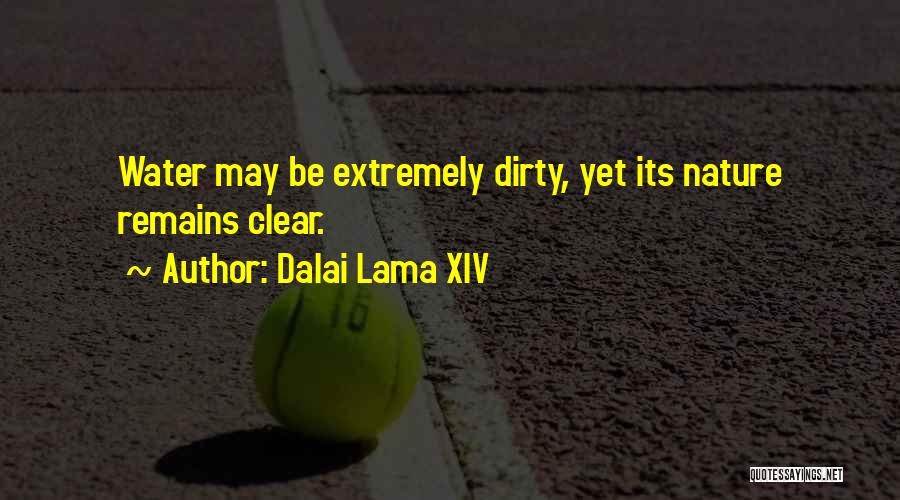 Dirty Water Quotes By Dalai Lama XIV