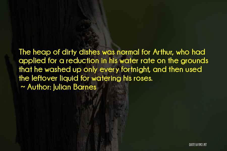 Dirty Water Quotes By Julian Barnes