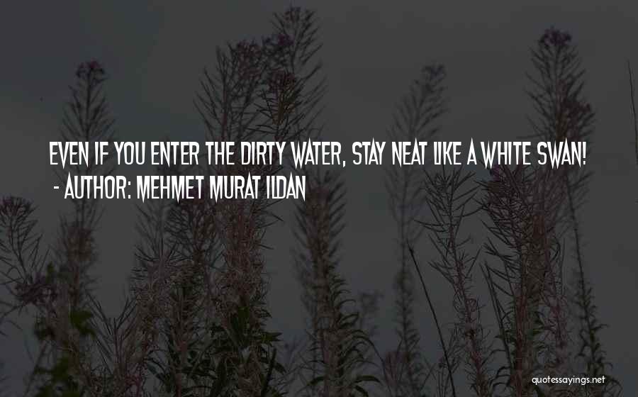 Dirty Water Quotes By Mehmet Murat Ildan