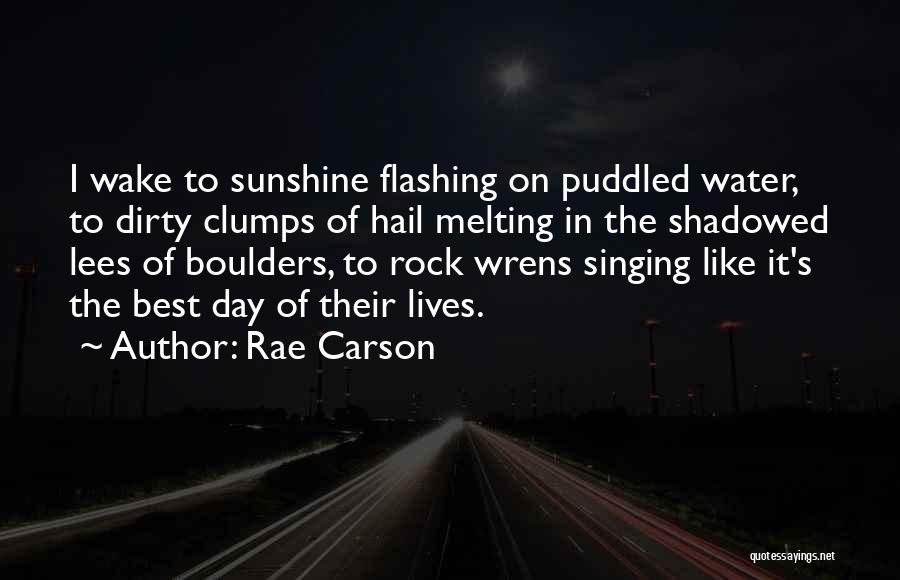 Dirty Water Quotes By Rae Carson