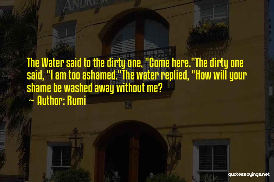 Dirty Water Quotes By Rumi