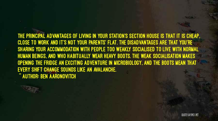 Disadvantages And Advantages Quotes By Ben Aaronovitch