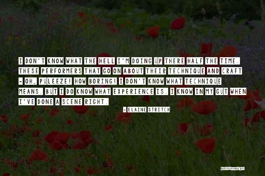 Disallowing A Nonimmigrant Quotes By Elaine Stritch Disallowing A Nonimmigrant Quotes By Elaine Stritch