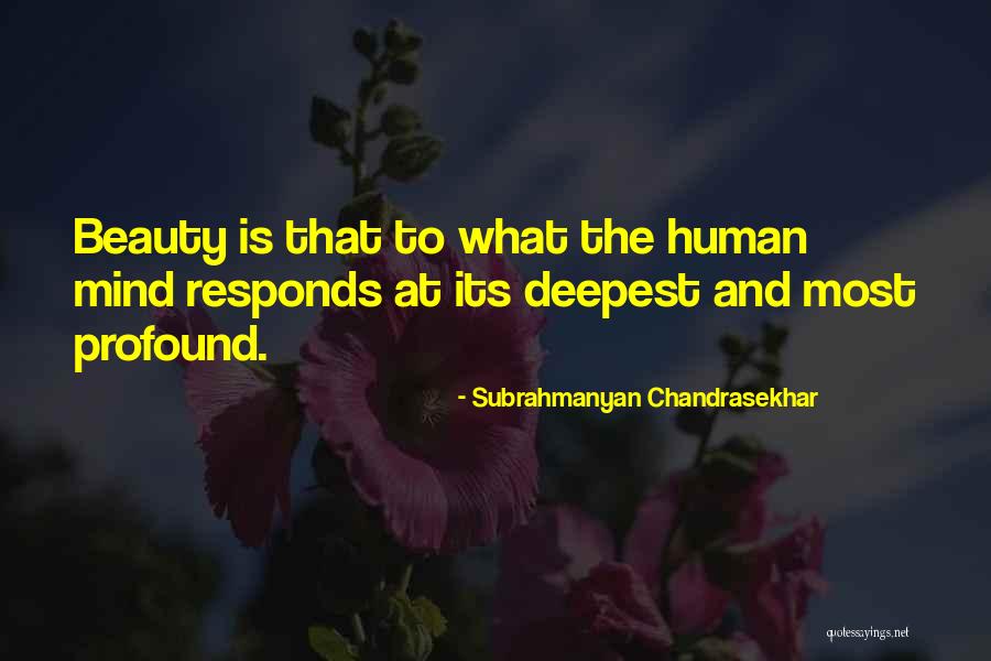 Disalvos Deli Quotes By Subrahmanyan Chandrasekhar Disalvos Deli Quotes By Subrahmanyan Chandrasekhar