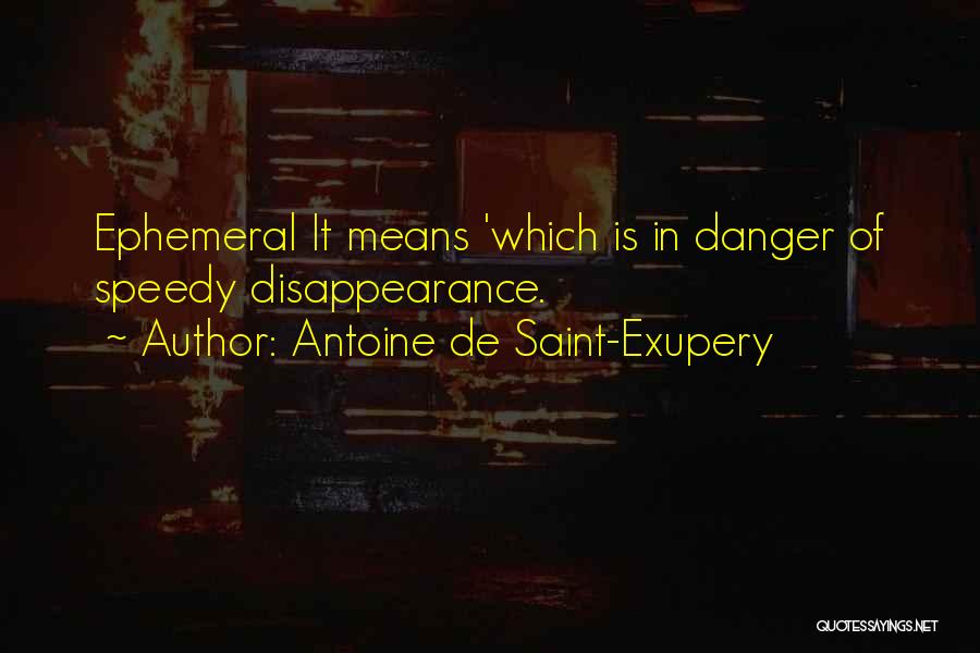 Disappearance Quotes By Antoine De Saint-Exupery